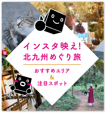 インスタ映え