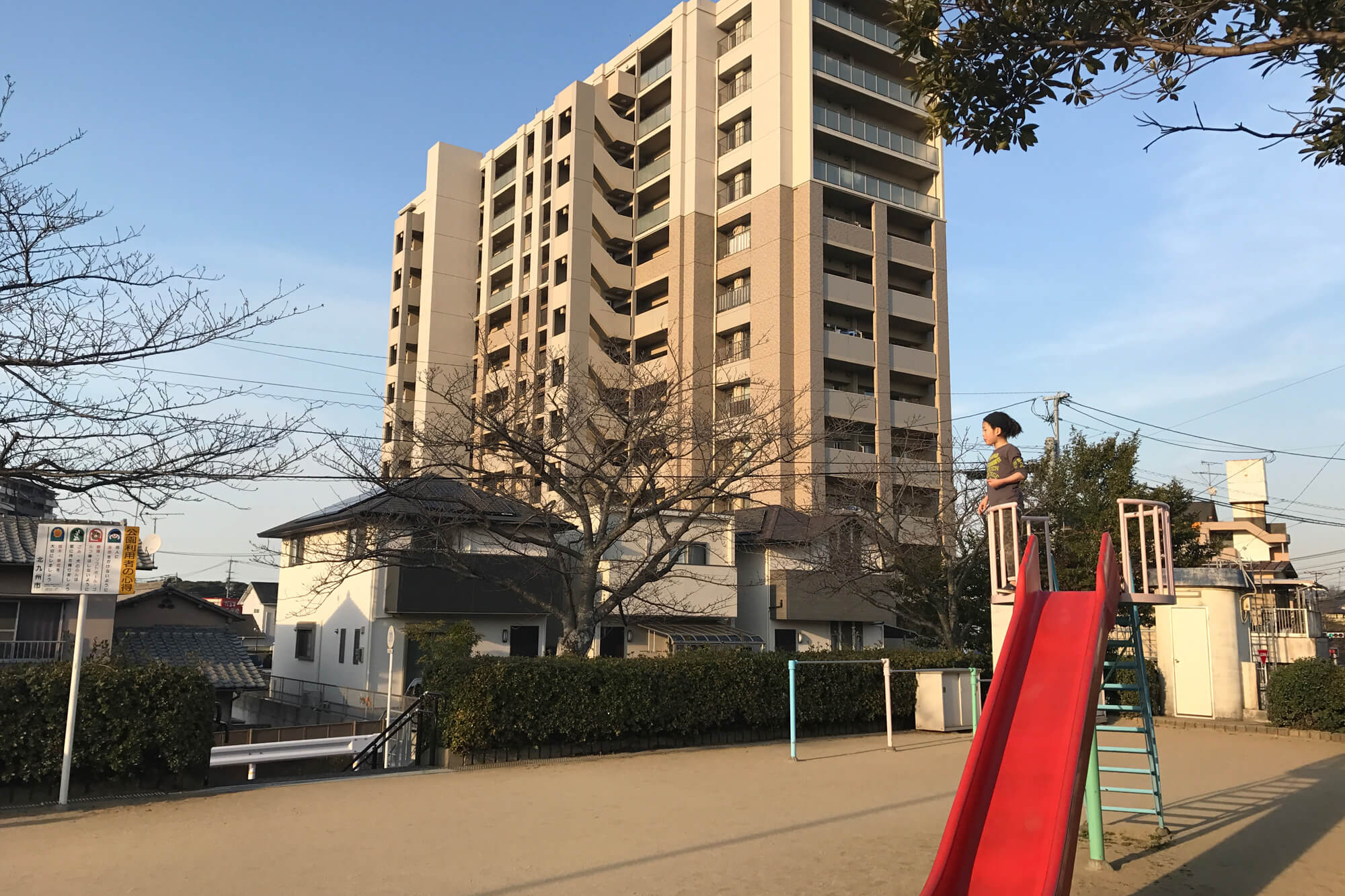 nishiyama_bicycle2