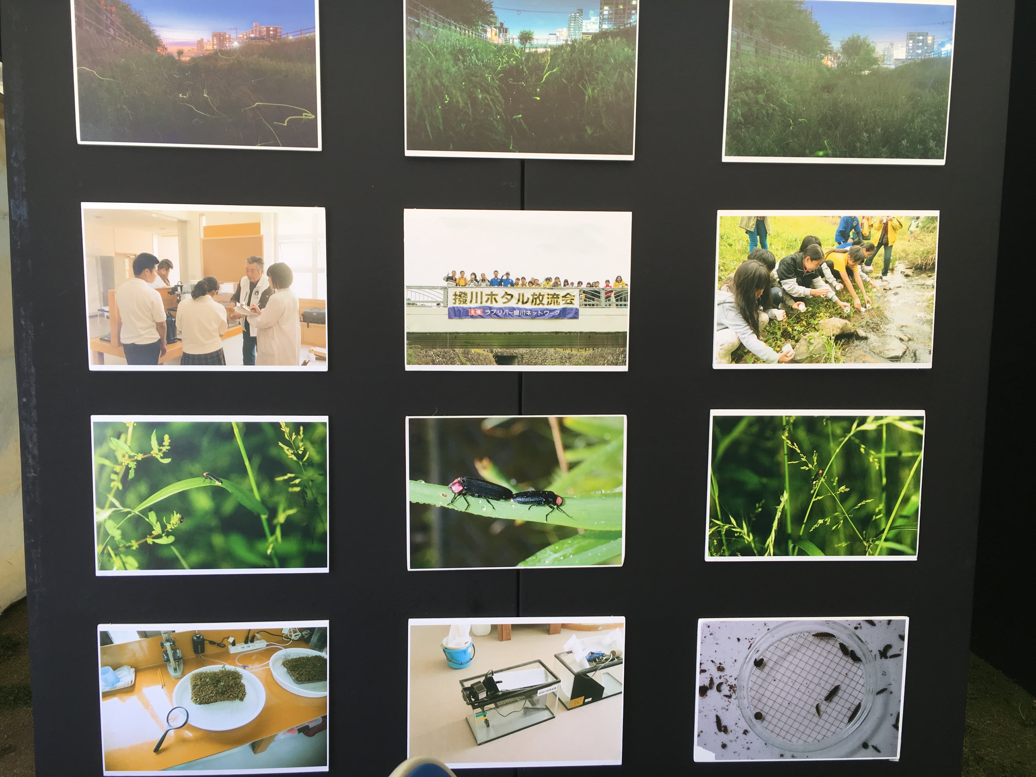 antique-miscellaneous-goods-cafe01