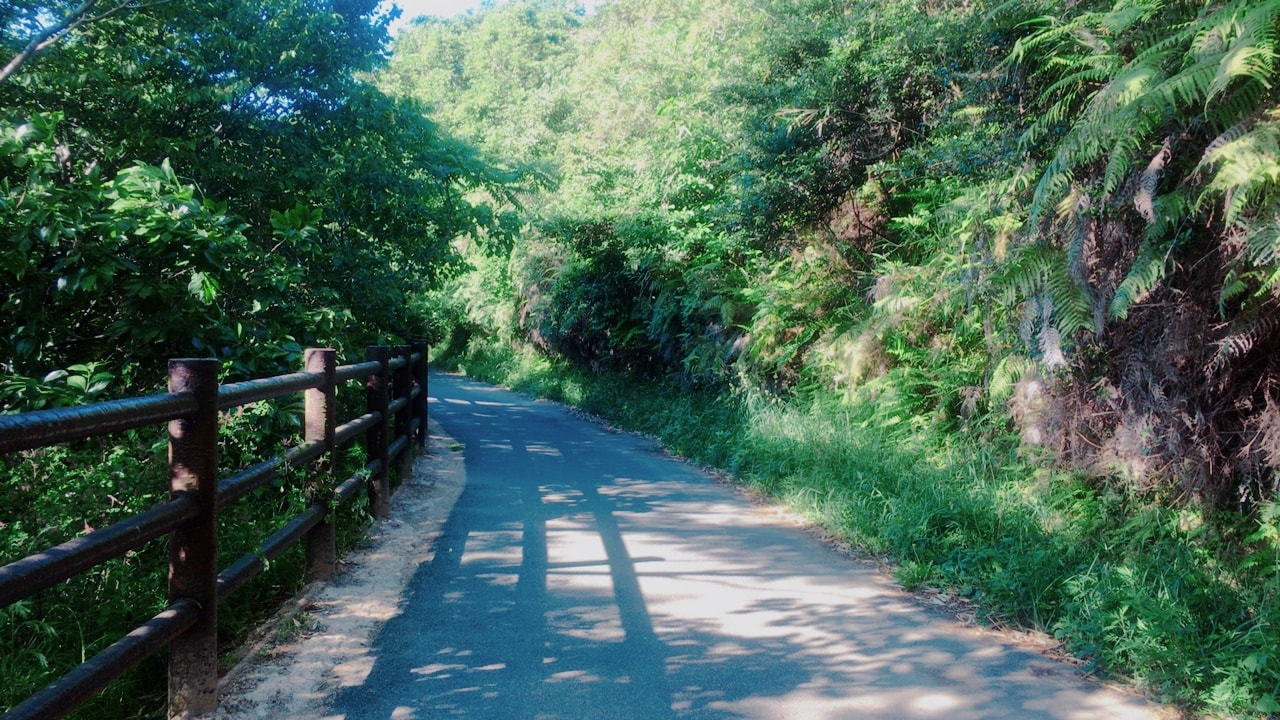 antique-miscellaneous-goods-cafe01