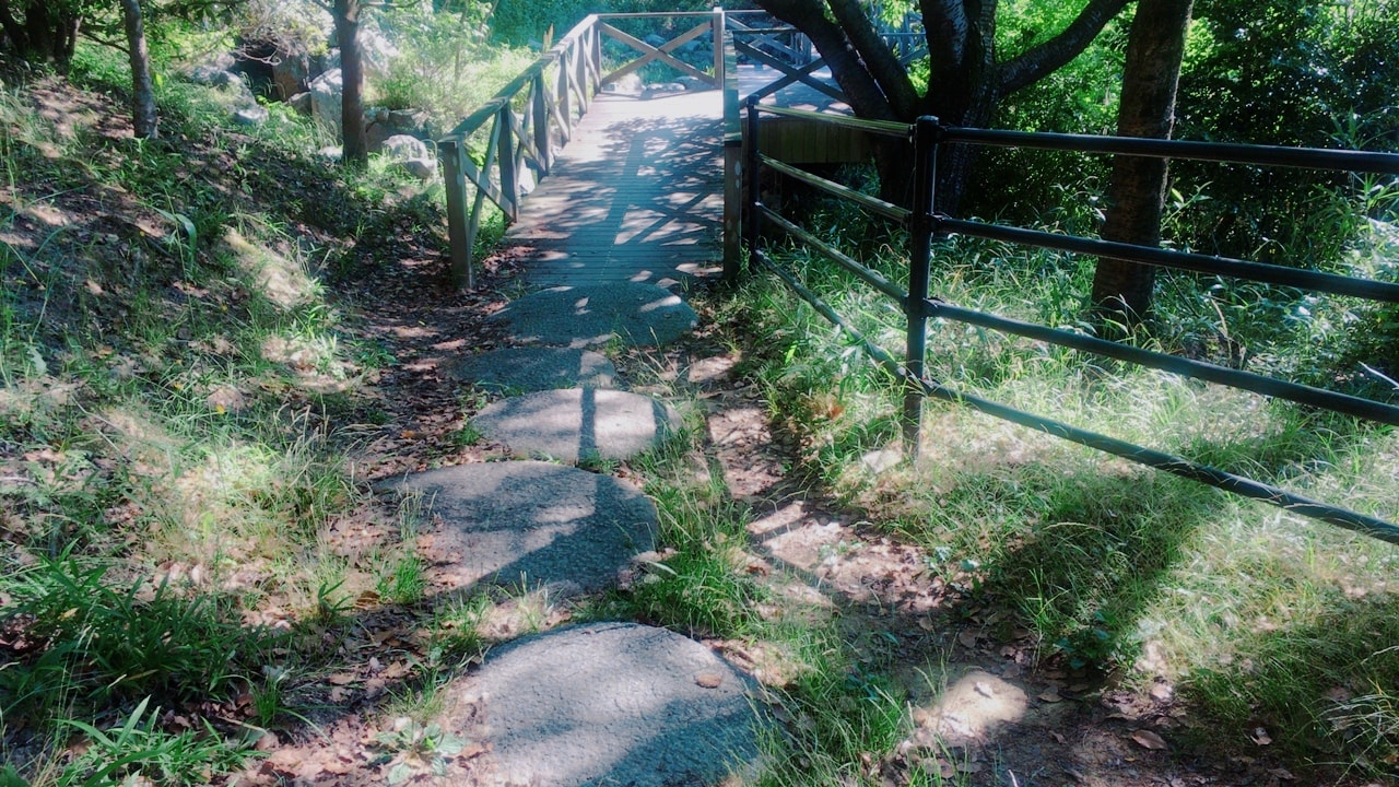 antique-miscellaneous-goods-cafe01