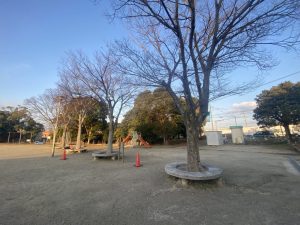 珍しいサークル型のベンチ
