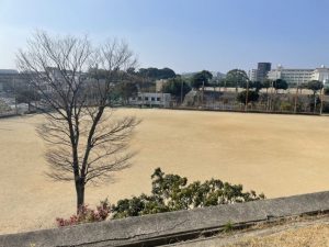 グランドは充分に野球ができる広さ