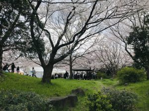 あちこちに絶景スポットが