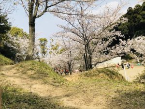 お花見の名所として有名なスポット