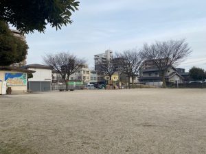 運動もバッチリできちゃいそうな広場