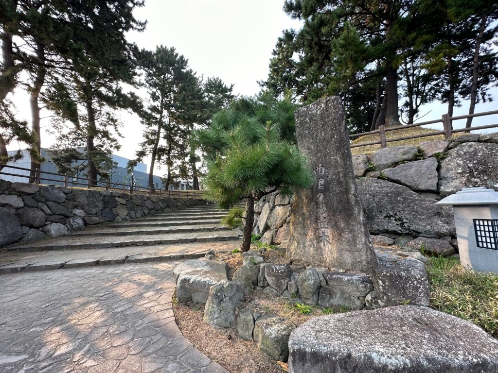 曲里の松並木公園