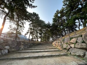 現在旧街道緑地として整備されています