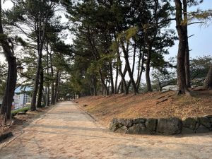 お散歩にぴったりな整備された歩道