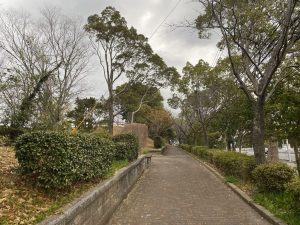 お散歩にぴったりな緩やかな登り坂