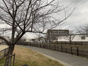 金山川沿いの散歩コース