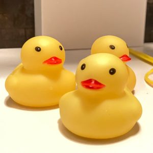 イカルガ家