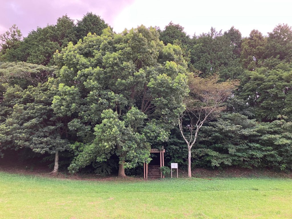 志井公園