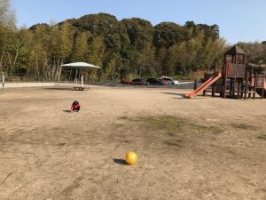 広々とした広場で走ったりボール遊びも楽しめます