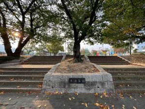大きな階段と木陰が象徴的な入り口
