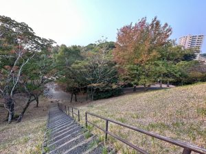 斜面を利用した「すり鉢状」の大きな公園