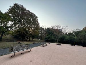 綺麗に整備されたベンチ