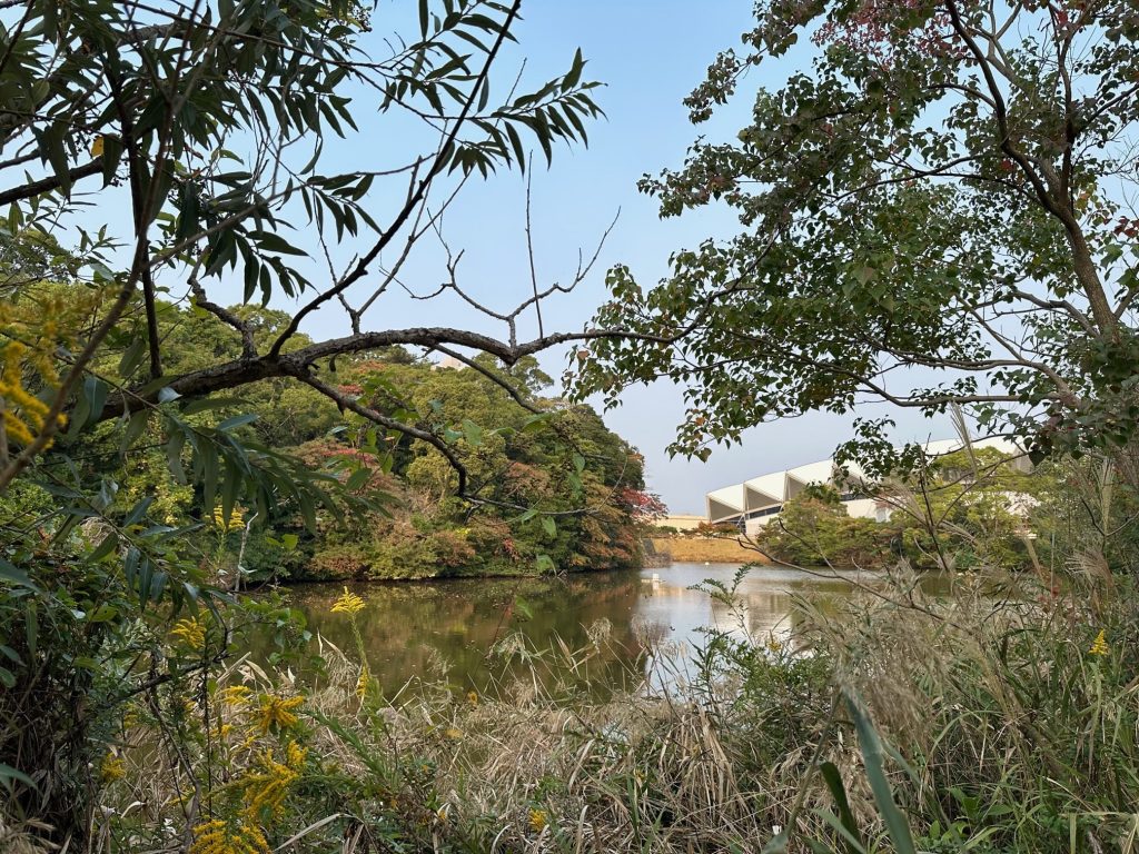 山の神池公園
