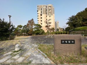街灯がある住宅街のオアシス