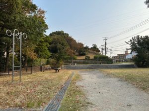 広場は軽い運動にピッタリ