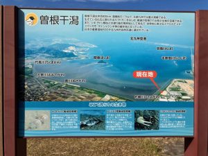 曽根干潟が一望できる気持ちの良いロケーション