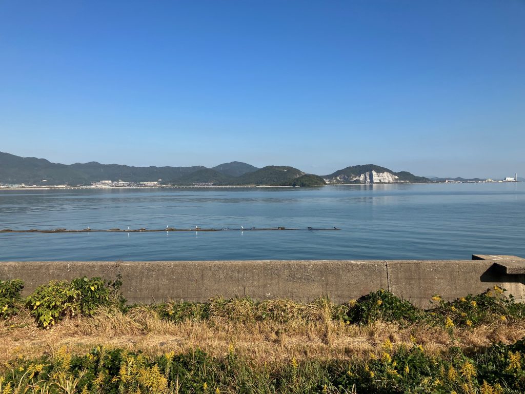 野鳥観察舎  /  臨空産業公園