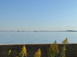 海を一望できるので心地よい時間が過ぎていきますよ
