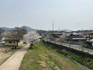 割子川が心地よいひととき