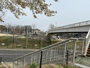 歩道橋があるので移動も安全