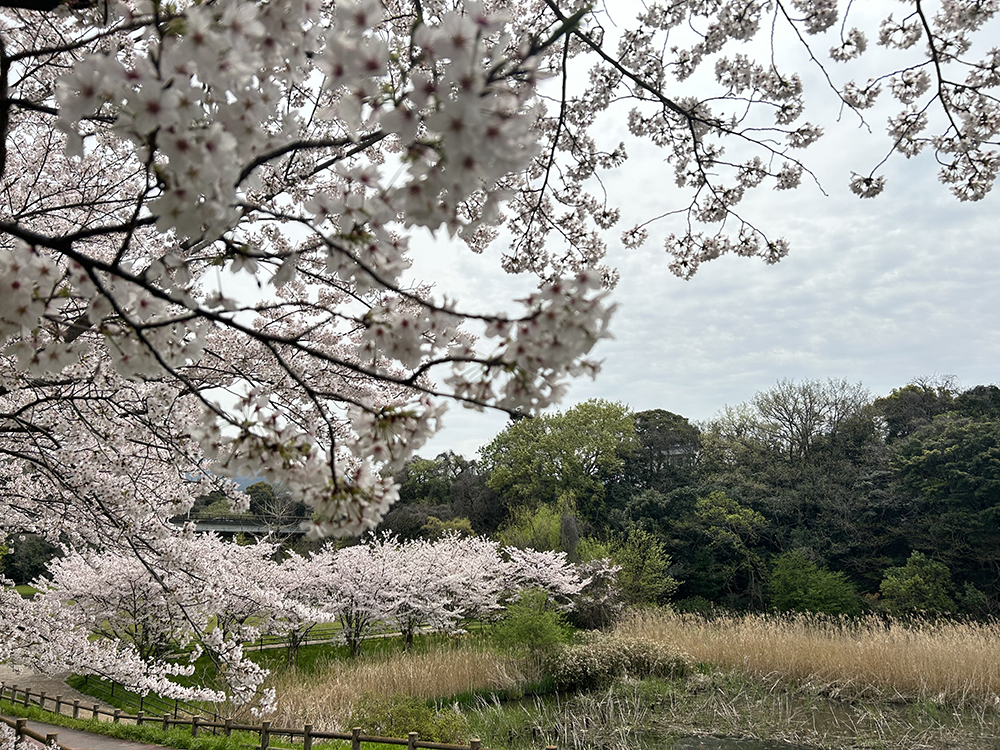名前谷公園