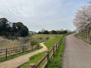 お散歩におすすめ