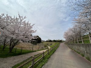 健康づくりに安全な遊歩道